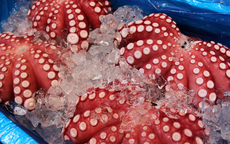 Tsukiji outer market with fresh seafood stalls in Tokyo, Japan